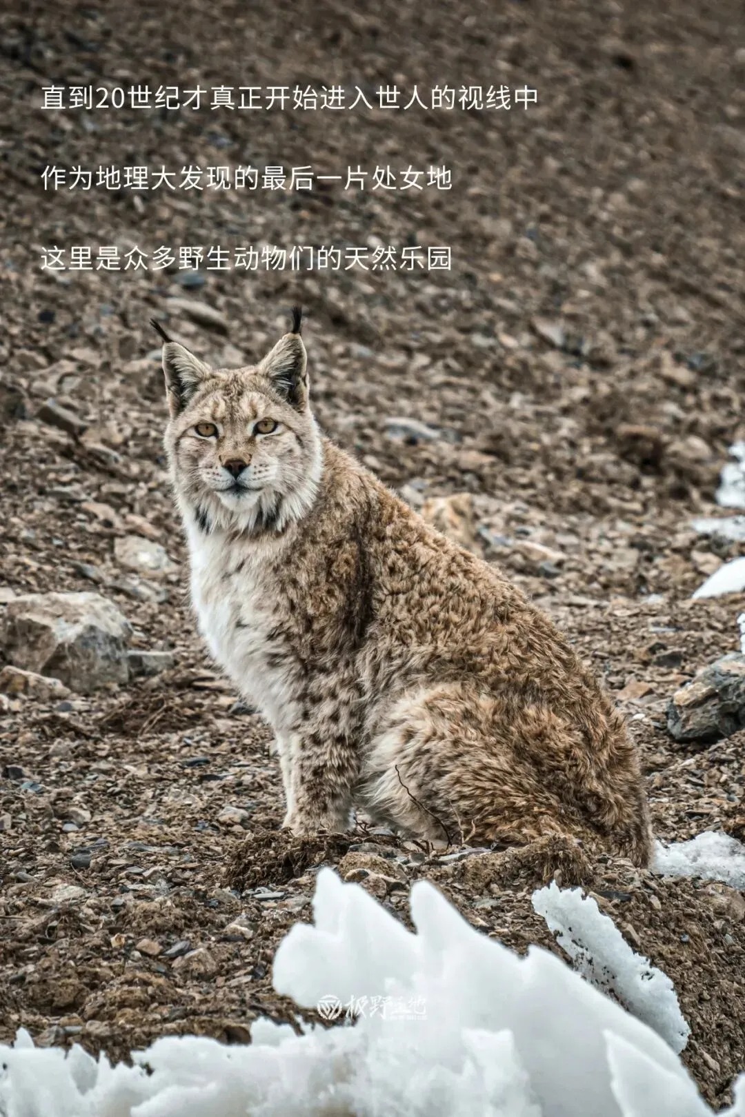 11月活动｜走，我们去无人区野餐去❗_9_食野山桌_来自小红书网页版